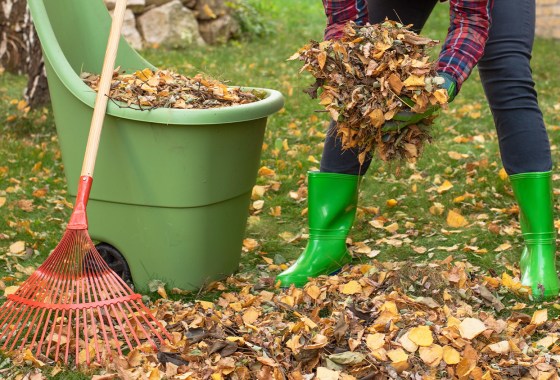 The quintessential fall lawn care schedule