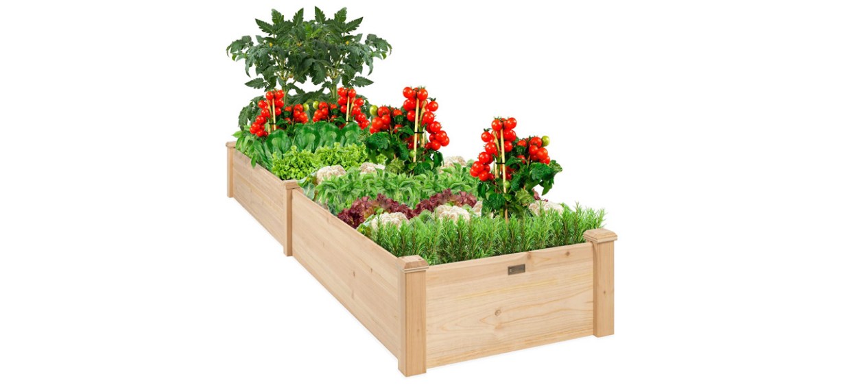 3-Best Choice Products 8x2ft Outdoor Wooden Raised Garden Bed Planter 3-Best Choice Products 8x2ft Outdoor Wooden Raised Garden Bed Planter