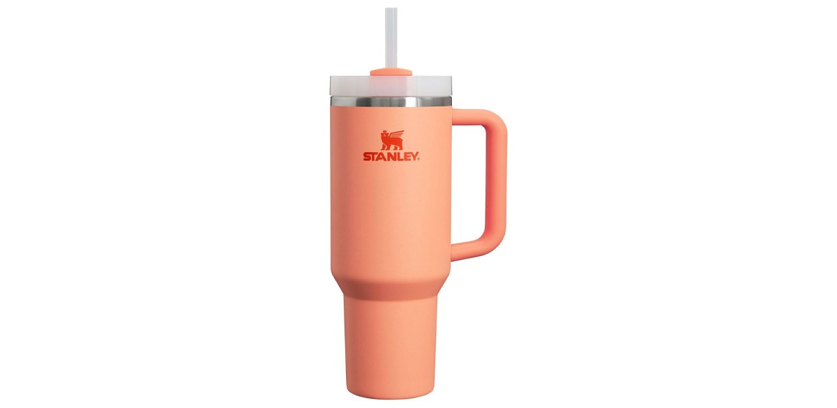 Stanley Quencher H2.0 Tumbler with Handle and Straw 40 oz in Nectarine Stanley Quencher H2.0 Tumbler with Handle and Straw 40 oz in Nectarine