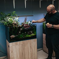 a man feeding the fishes