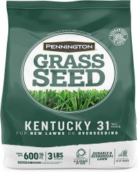 Pennington Kentucky 31 Tall Fescue Penkoted Grass Seed