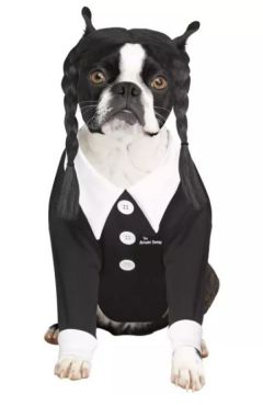 Spirit Halloween Wednesday Addams Dog Costume
