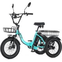 NARRAK Fat Tire Folding Electric Tricycle