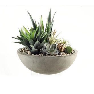 CORT Furniture Outlet Mixed Succulents