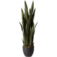 Nearly Natural Sansevieria with Black Planter