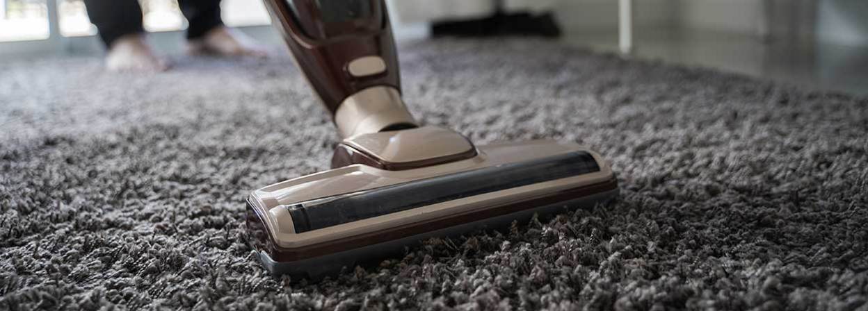 5 Best Carpet Sweepers - Jan. 2024 - BestReviews