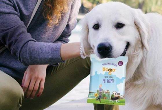 Best Wet Wipes for Dogs and Cats