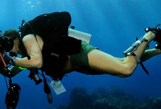 Best Underwater Fishing Cameras