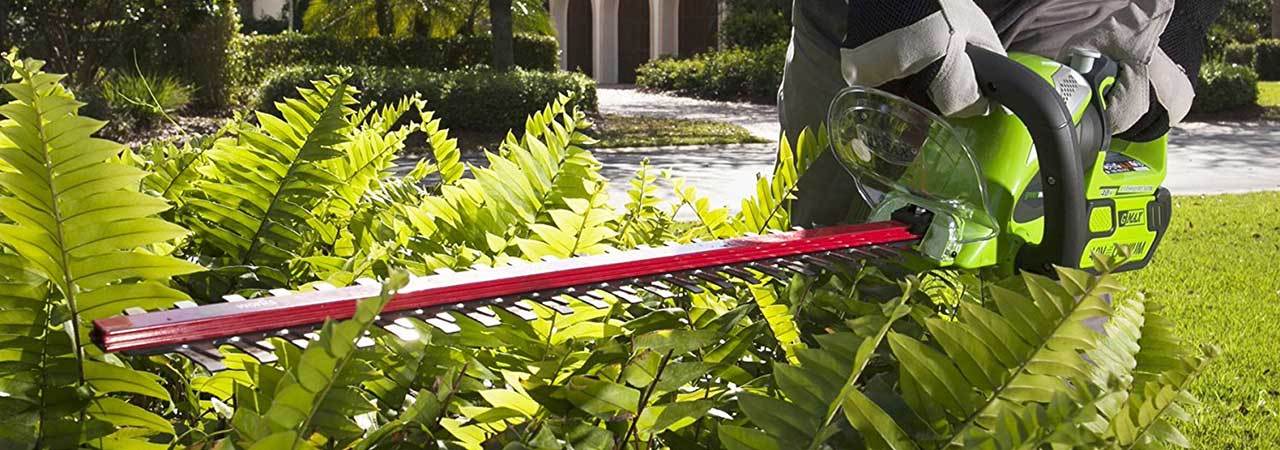 5 Best Greenworks Hedge Trimmers - Dec. 2024 - BestReviews