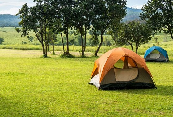 Best Pop Up Tents