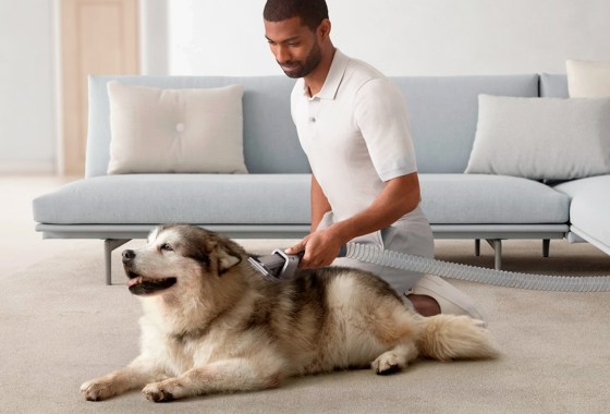Dog owners, rejoice: Dyson has a pet grooming attachment now