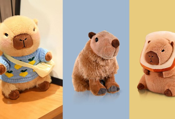 Yes, your kid really wants a baby capybara for Christmas