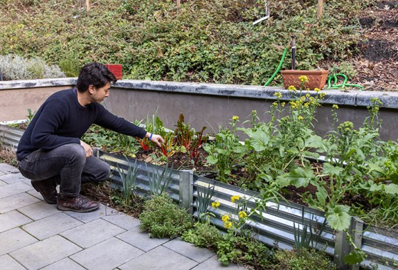 Gardening is tough during a drought, but these products make it a whole lot easier