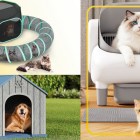 Pet products rule Walmart’s Flash Deals this week