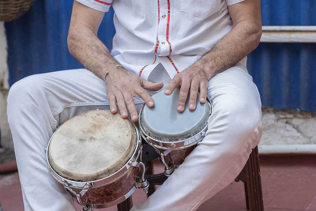 5 Best Bongo Drums Sept. 2021 BestReviews