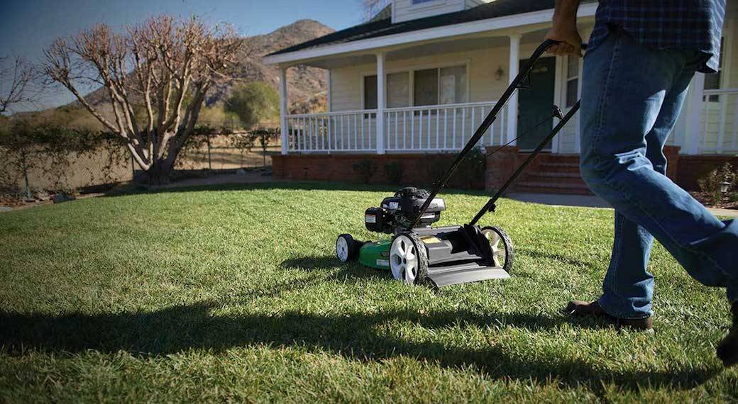 5 Best Gas Lawn Mowers June 2024 BestReviews