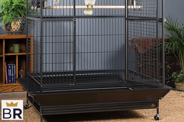 Petco parrot outlet cages