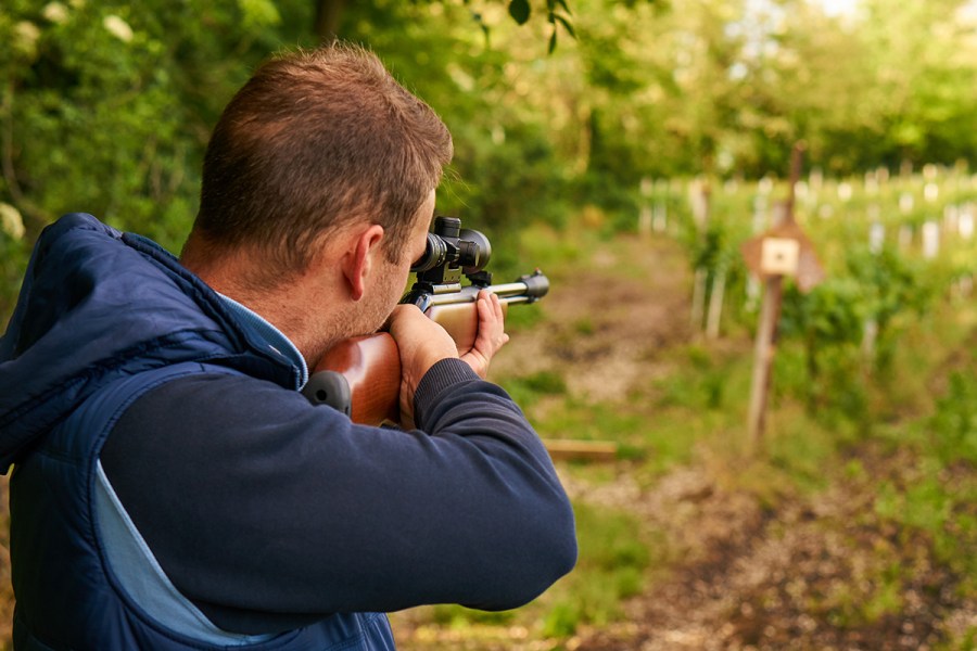 5 Best Air Rifles Nov. 2022 BestReviews