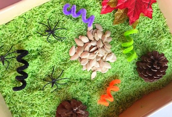 Best sensory bin ideas anyone can enjoy