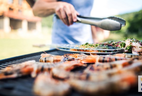 Best Traeger smoker grill