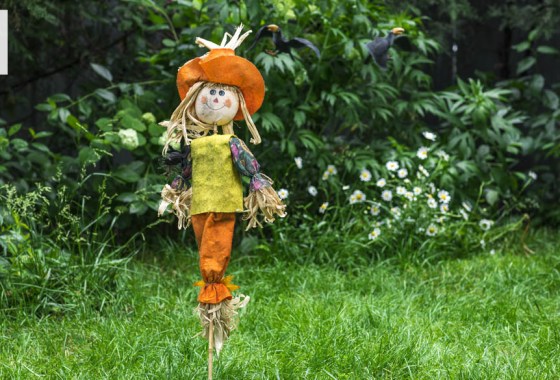 How to make a scarecrow