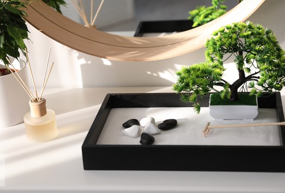 Best mini zen garden
