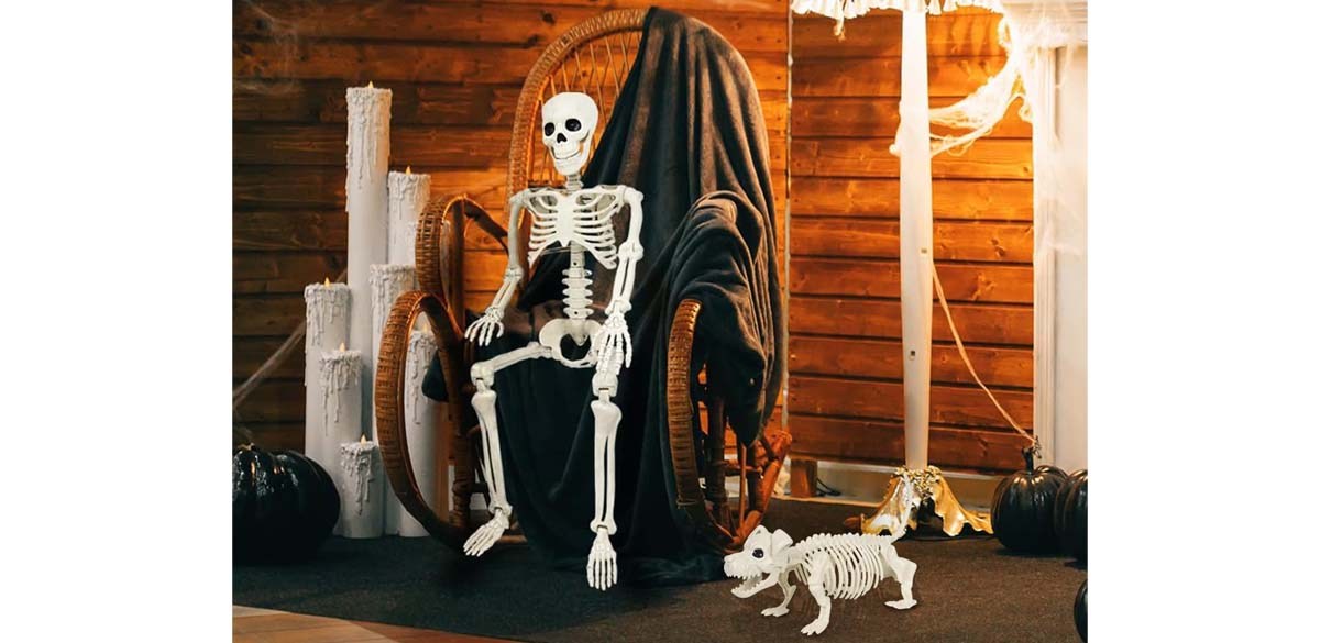 Ayieyill 2pcs Skeleton and Dog Skeleton