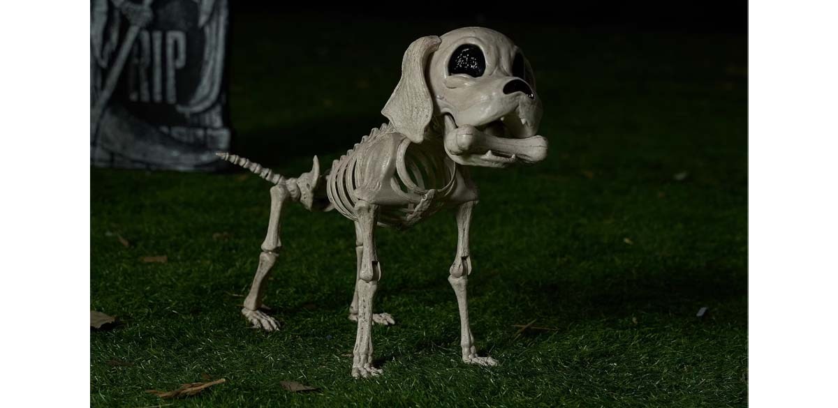 Joyfy 9.8 Inch Halloween Skeleton Dog