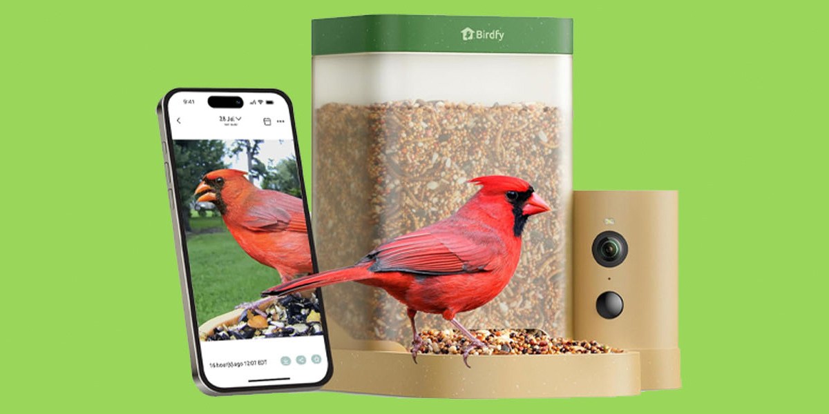 Birdfy Rookie Smart Bird Feeder