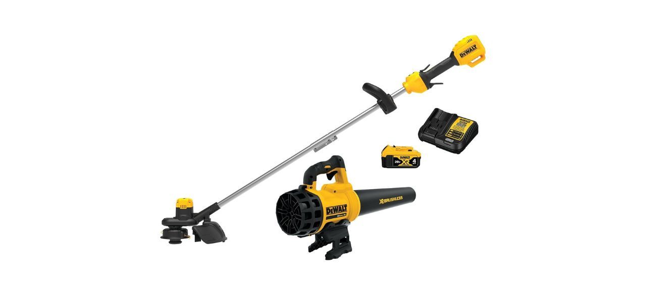 Dewalt 20 volt weed best sale eater and blower combo