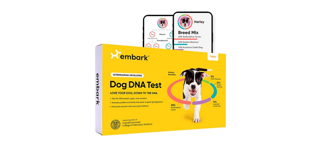 Best Embark  Family Tree Breed Identification Kit