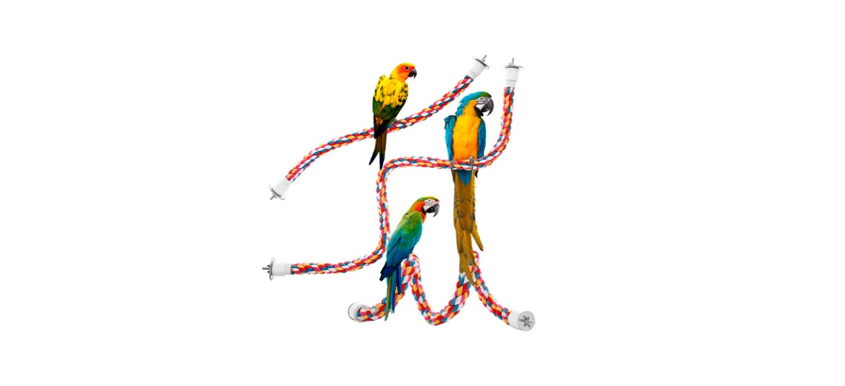 Best Jusney Bird Rope Perches