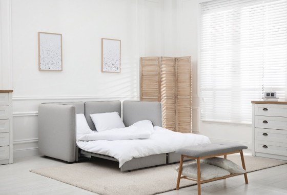 Best Wayfair sleeper sofa
