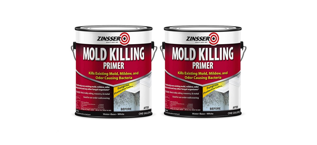 Best Zinsser Mold Killing Primer