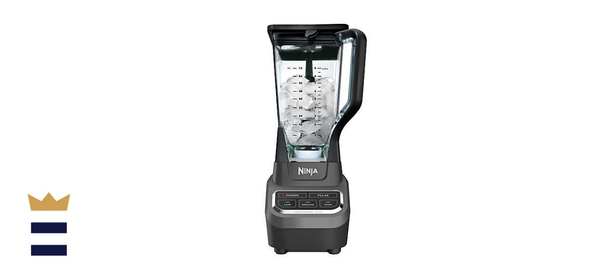 Ninja® Professional Blender in Black