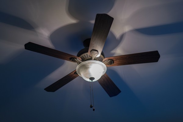 ceiling fan3
