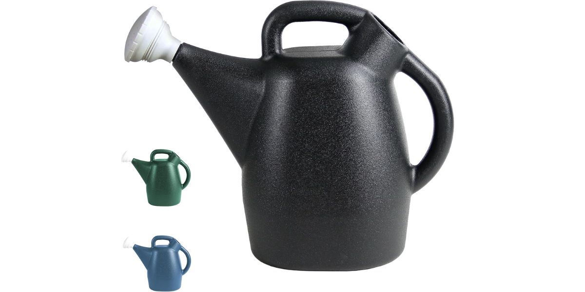 Chapin 2-Gallon Watering Can