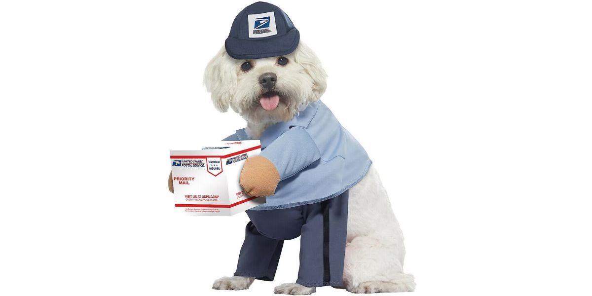 California Costumes USPS Delivery Driver Dog &amp; Cat Costume