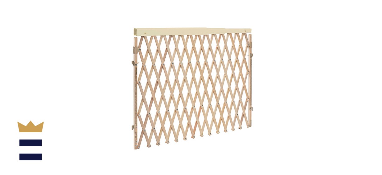 Evenflo Expansion Gate