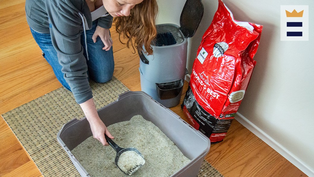 Fresh Step cat litter vs. Tidy Cat cat litter