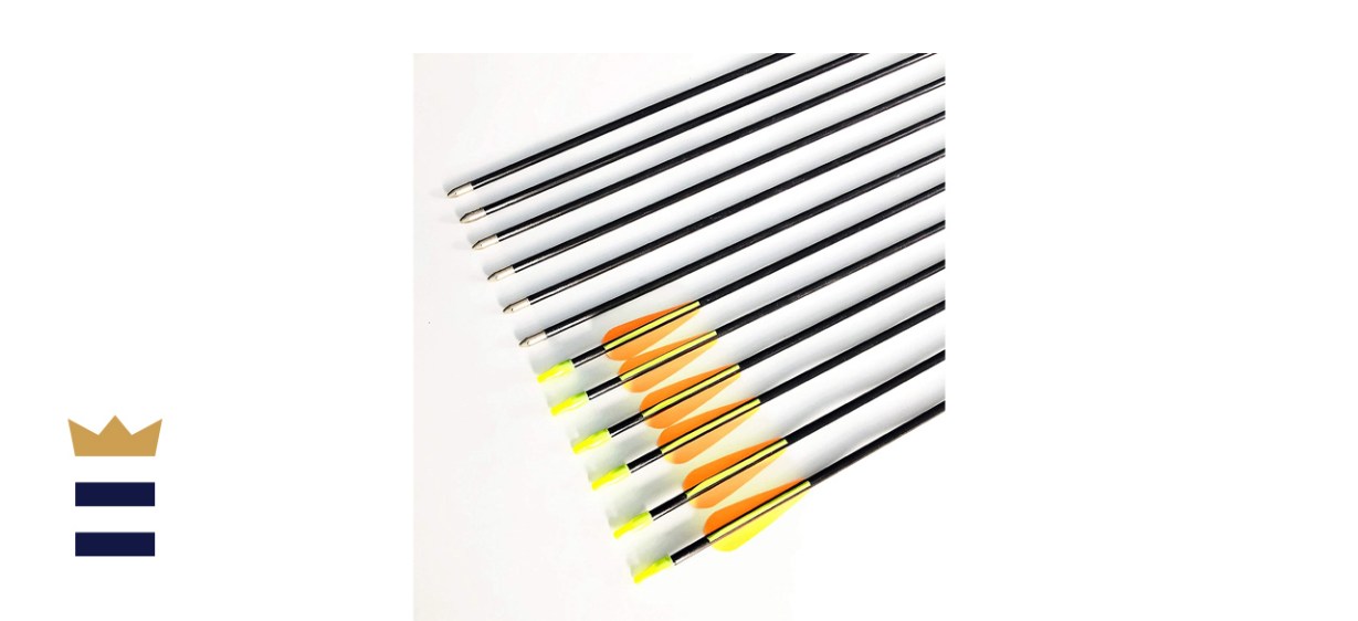 GPP 28-inches Fiberglass Archery Target Arrows