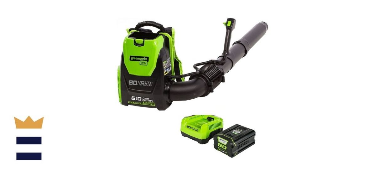 Greenworks Cordless Backpack Leaf Blower