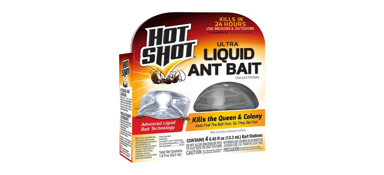 Prevent infestation with the best ant killers