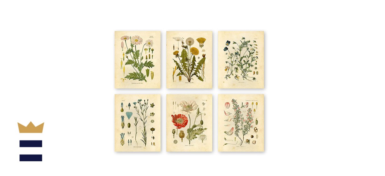 Ink Inc Botanical Prints