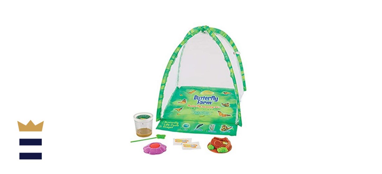 Insect Lore’s Butterfly Garden: Original Habitat and Live Cup of Caterpillars