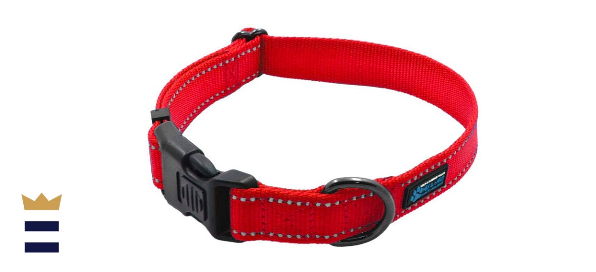 Max and Neo Nylon Buckle Reflective Dog Collar