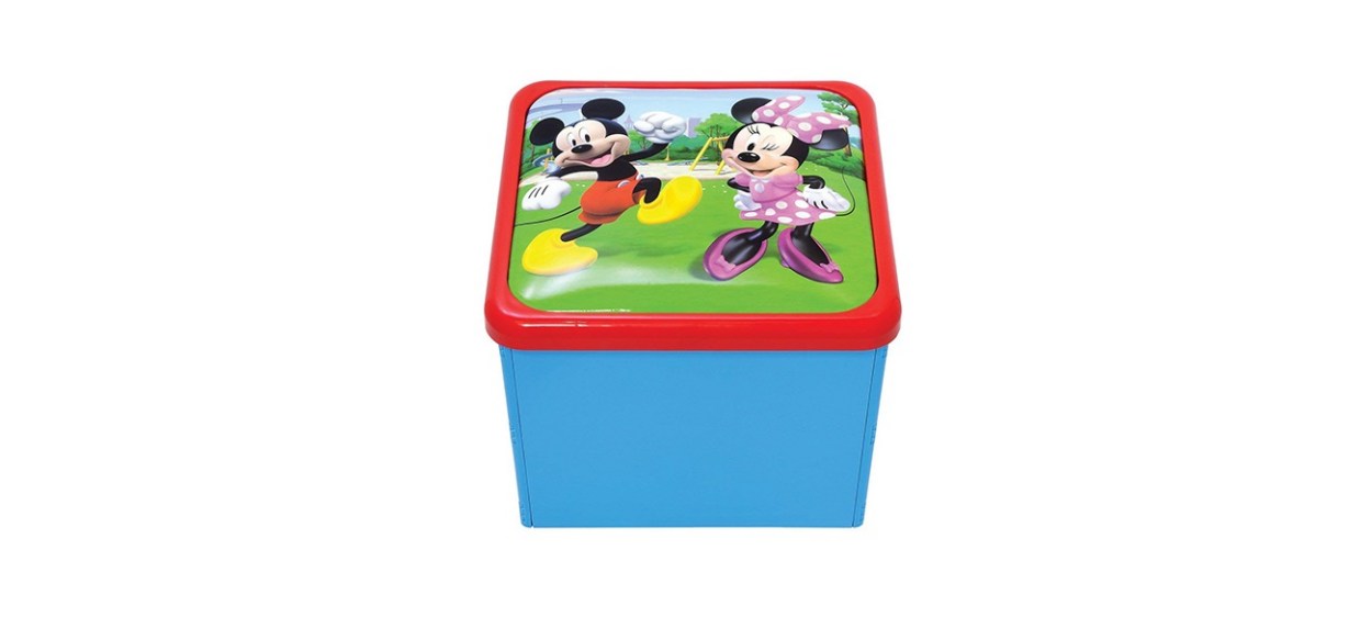 Mickey Mouse Roadster Racers Sit N Store Cube