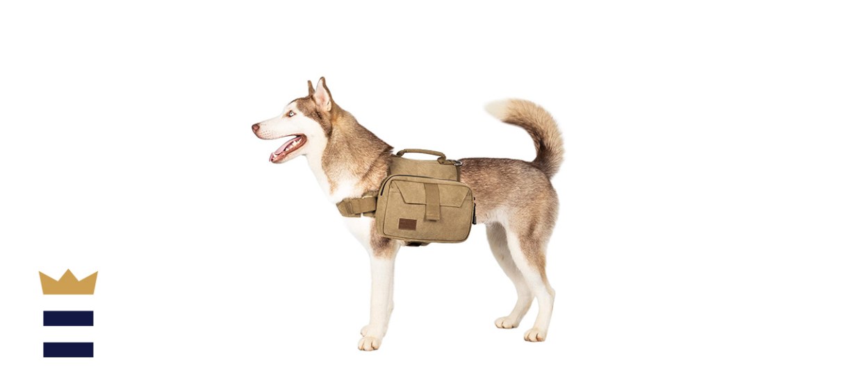 OneTigris’ Dog Pack