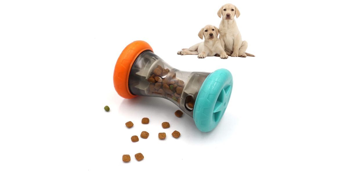 Aelflane Treat Dispensing Slow Feeder