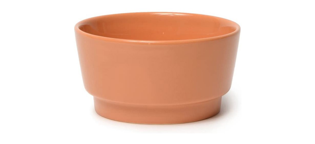 Waggo Gloss Ceramic Dog Bowl